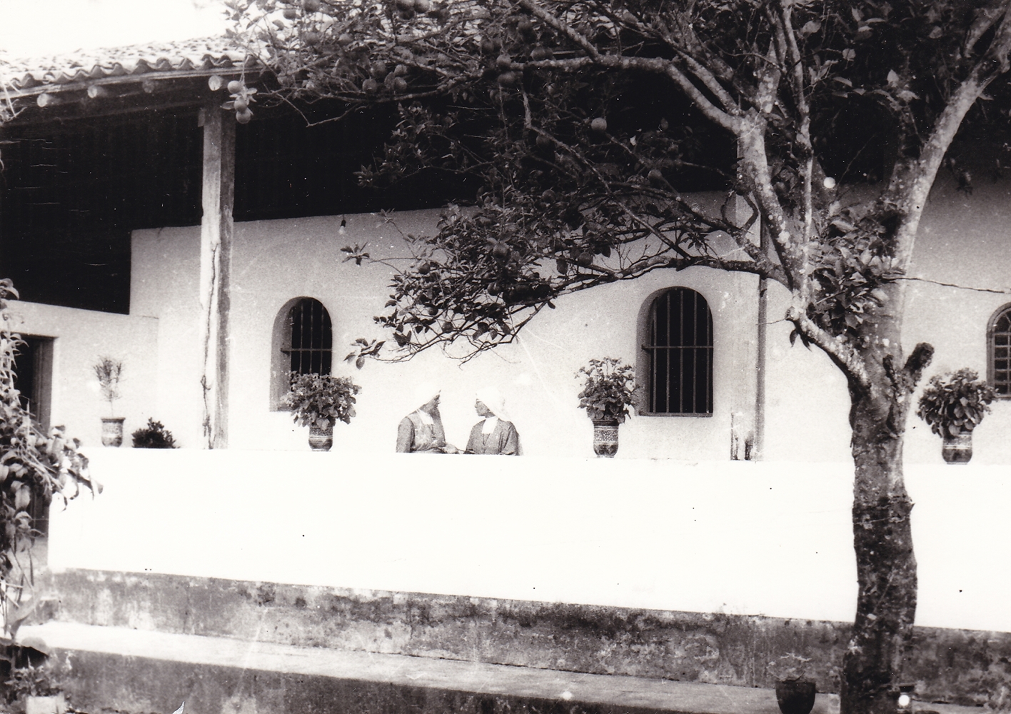 Casa delle Suore (part.) il cortile e le finestrelle del coro